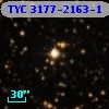 TYC 3177-2163-1