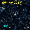 SV* HV  2037