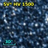 SV* HV  1500