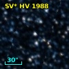 SV* HV  1988