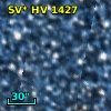 SV* HV  1427