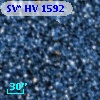 SV* HV  1592