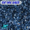 SV* HV  1437
