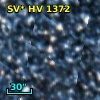 SV* HV  1372