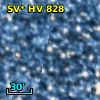 SV* HV   828