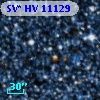 SV* HV 11129