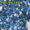 SV* HV  1451