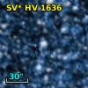 SV* HV  1636