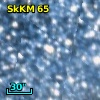 2MASS J00505648-7247292
