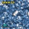 2MASS J00513146-7310513