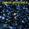 SkKM 241