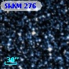 SkKM 276