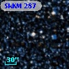 SkKM 287