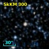SkKM 300
