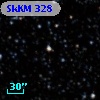 SkKM 328