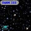 SkKM 333