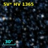 SV* HV  1365