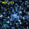 NGC   231