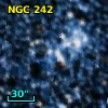 NGC   242