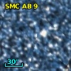 NAME MVD 1 in SMC