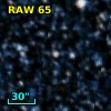 RAW   65