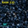 RAW  131