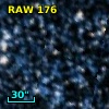 RAW  176