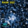 RAW  202