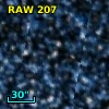 RAW  207