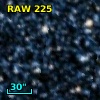 RAW  225
