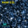 RAW  231