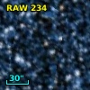RAW  234