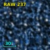RAW  237