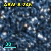 RAW  244
