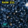 RAW  251