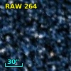 RAW  264
