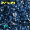 RAW  268