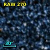 RAW  270