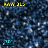RAW  315