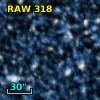 RAW  318