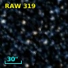 RAW  319