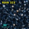RAW  323