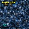 RAW  449