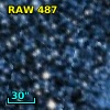 RAW  487