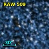 RAW  509