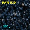 RAW  519