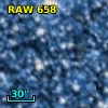 RAW  658