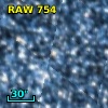 RAW  754
