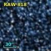 RAW  818