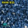 RAW  831